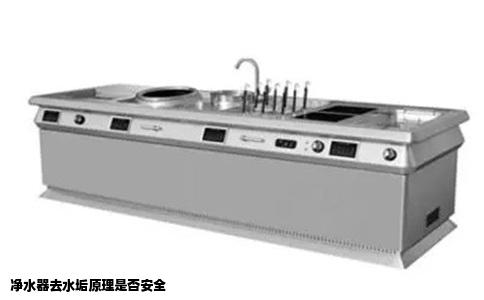 净水器去水垢原理是否安全