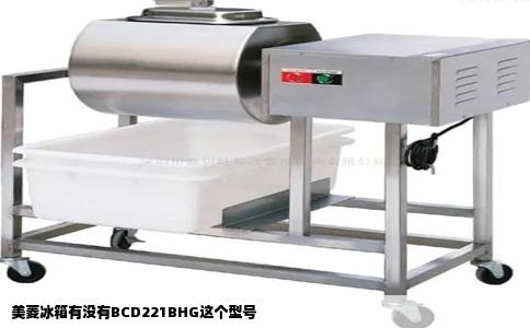 美菱冰箱有没有BCD221BHG这个型号