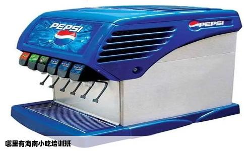 哪里有海南小吃培训班