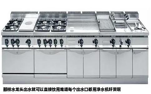 那样水龙头出水就可以直接饮用难道每个出水口都用净水机好贵啊