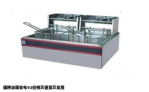 哪种冰箱省电92价格又便宜又实用
