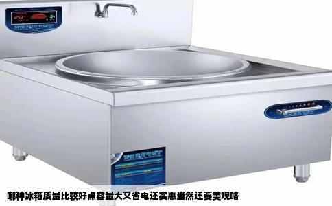 哪种冰箱质量比较好点容量大又省电还实惠当然还要美观咯