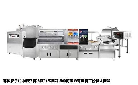 哪种牌子的冰箱只有冷藏的不要冷冻的海尔的有没有了价格大概是