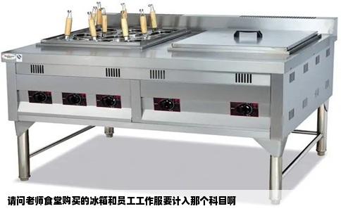 请问老师食堂购买的冰箱和员工工作服要计入那个科目啊