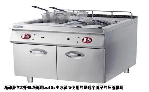 请问哪位大虾知道美菱bc50s小冰箱所使用的是哪个牌子的压缩机啊