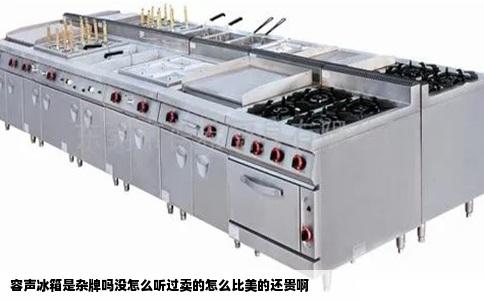 容声冰箱是杂牌吗没怎么听过卖的怎么比美的还贵啊