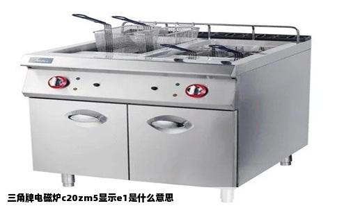三角牌电磁炉c20zm5显示e1是什么意思