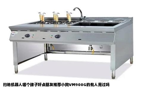 扫地机器人哪个牌子好点朋友推荐小狗VM900G的有人用过吗