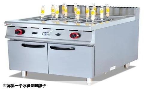 世界第一个冰箱是啥牌子