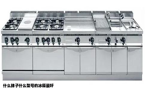 什么牌子什么型号的冰箱最好
