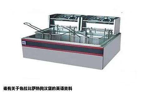 谁有关于色拉比萨热狗汉堡的英语资料