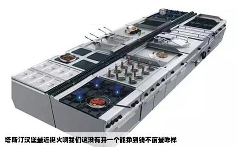 塔斯汀汉堡最近挺火啊我们这没有开一个能挣到钱不前景咋样