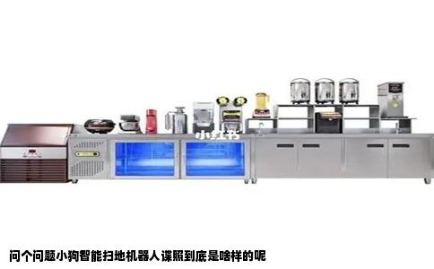 问个问题小狗智能扫地机器人谍照到底是啥样的呢