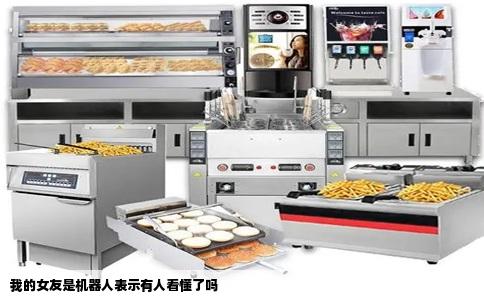 我的女友是机器人表示有人看懂了吗