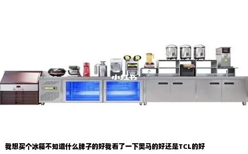 我想买个冰箱不知道什么牌子的好我看了一下奥马的好还是TCL的好