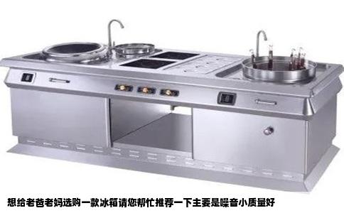 想给老爸老妈选购一款冰箱请您帮忙推荐一下主要是噪音小质量好