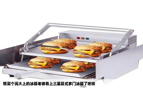 想买个高大上的冰箱老婆看上三星品式多门冰箱了咋样