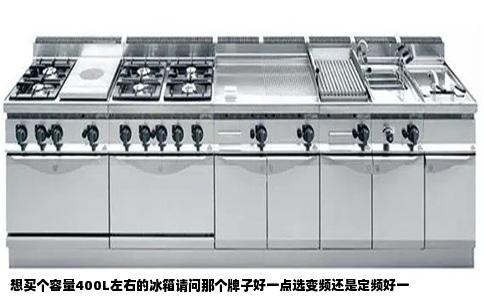 想买个容量400L左右的冰箱请问那个牌子好一点选变频还是定频好一