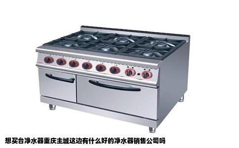 想买台净水器重庆主城这边有什么好的净水器销售公司吗