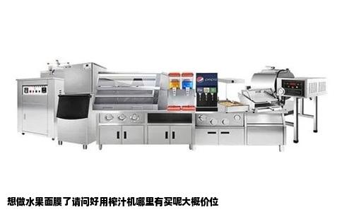 想做水果面膜了请问好用榨汁机哪里有买呢大概价位