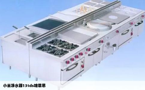 小米净水器13tds啥意思
