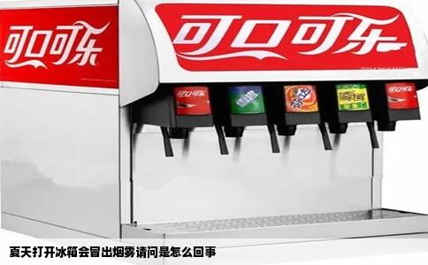 夏天打开冰箱会冒出烟雾请问是怎么回事