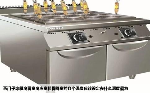 西门子冰箱冷藏室冷冻室和保鲜室的各个温度应该设定在什么温度最为