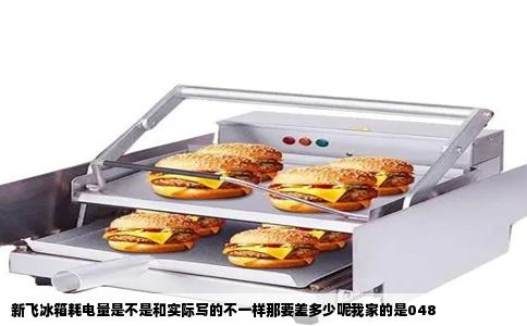 新飞冰箱耗电量是不是和实际写的不一样那要差多少呢我家的是048