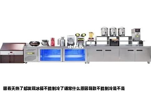 眼看天热了却发现冰箱不能制冷了通常什么原因导致不能制冷是不是