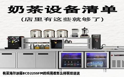 有买海尔冰箱BCD225SFM的吗用着怎么样啊给说说