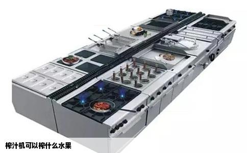 榨汁机可以榨什么水果